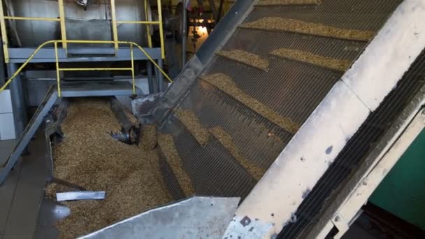 Oatmeal on the conveyor - Footage, Video