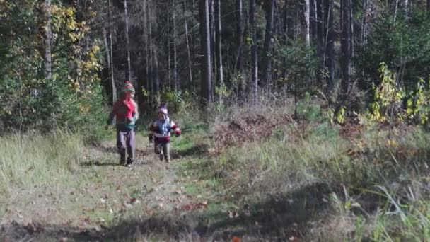 Grappig, lopen grappige jongens, broer en zus door het bos in de warme herfst. Kinderen in identieke hoeden en sjaals - Video