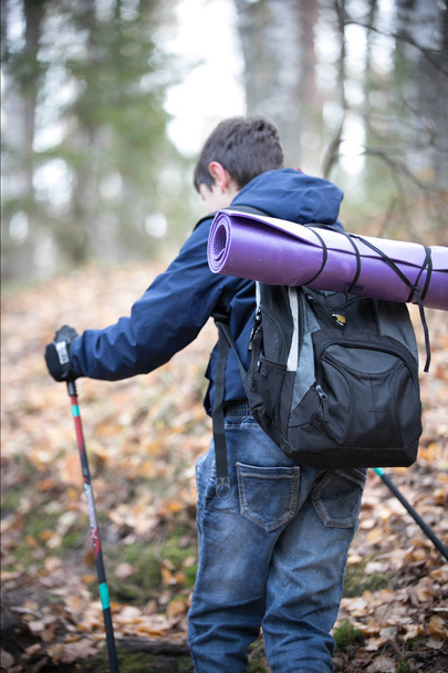 Nordic Walking. Porträt eines Kindes im herbstlichen Wald. Kinder vergnügen sich im sonnigen Herbstpark. zurück - Foto, Bild