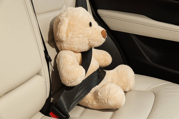 Cute stuffed toy bear buckled in backseat of car - 写真・画像