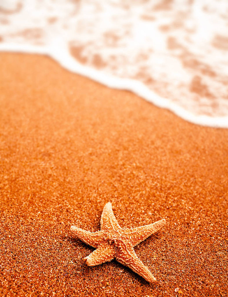 SeaStar πάνω στην άμμο της παραλίας και επόμενα κύμα πολλή copyspace, κανείς δεν γύρω, ταξίδια ή διακοπές έννοια - Φωτογραφία, εικόνα