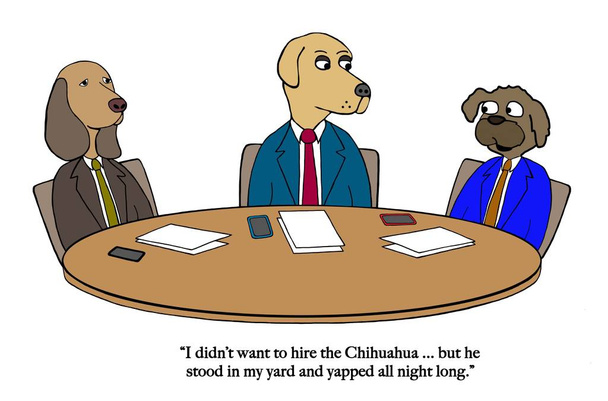 A dog board of directors has hired a Chihuahua - Photo, Image