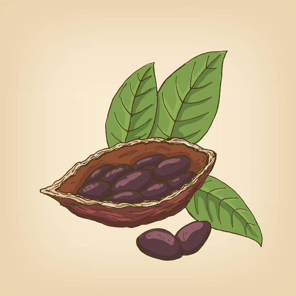 Kakaoschoten, Kakaobohnen und Blätter. Vektorillustration. - Vektor, Bild