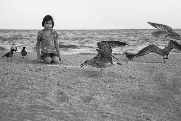 Martılar ile kum plajındaki güneşli gün oynayan güzel küçük kız  - Fotoğraf, Görsel