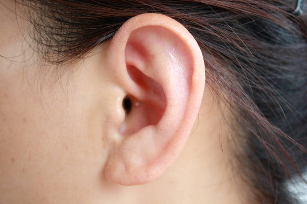 Close Up woman's ear - Photo, Image