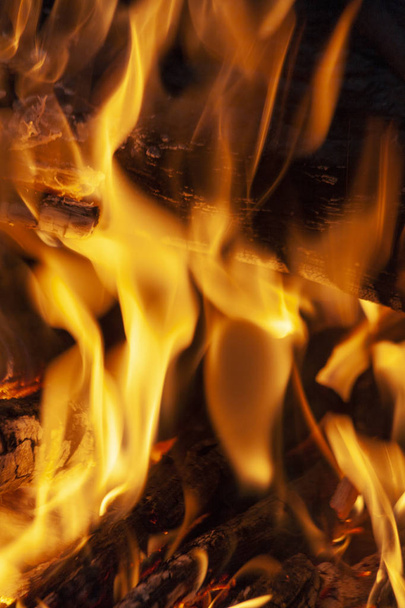 Fire, flames on a black background. Fire for advertising. - Foto, imagen