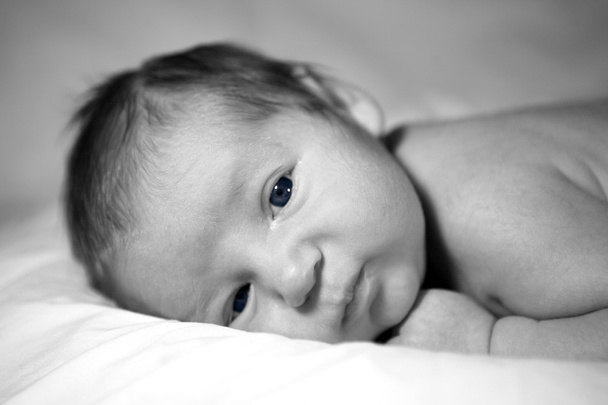 Black and White Image of a Beautiful Bab - Foto, imagen