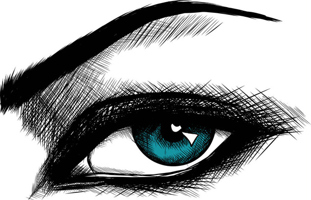 Красиві жінки очі з макіяжем
 - Вектор, зображення