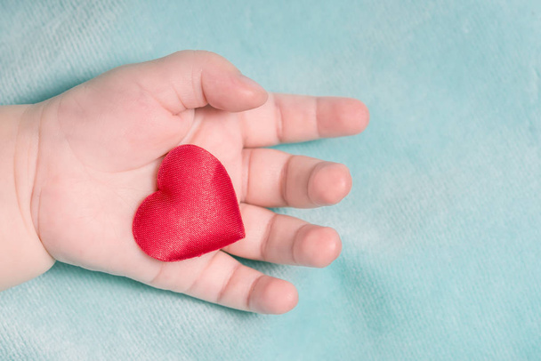 Red heart in the hand of a baby on a blue background - Photo, Image