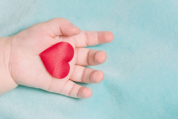 Red heart in the hand of a baby on a blue background - 写真・画像