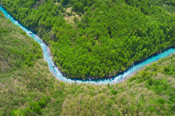 Top view of the river in the mountains surrounded by a green forest - Foto, imagen
