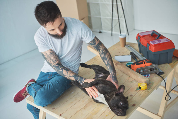 tatuado homem jogar com francês bulldog na superfície de madeira no novo apartamento
 - Foto, Imagem