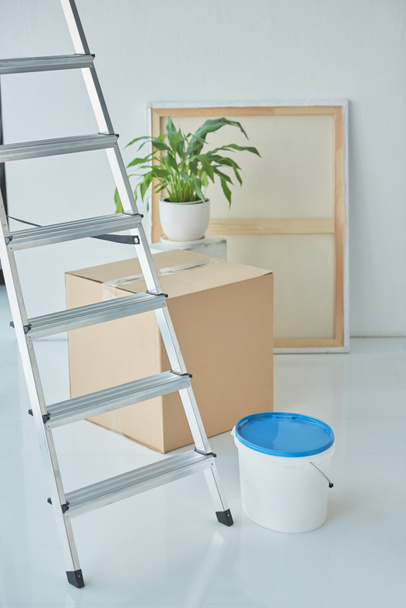 close up view of ladder, plastic bucket on paint, houseplant and cardboard box in new home - Foto, Imagem
