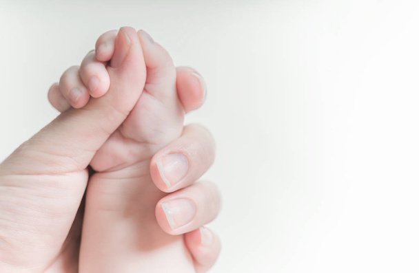 La main d'un bébé tient le doigt d'une femme
 - Photo, image