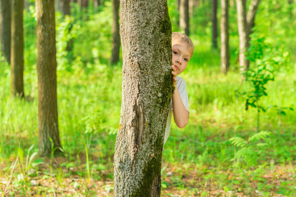Blond boy in a white T-shirt hiding behind a tree trunk in a park - Foto, immagini