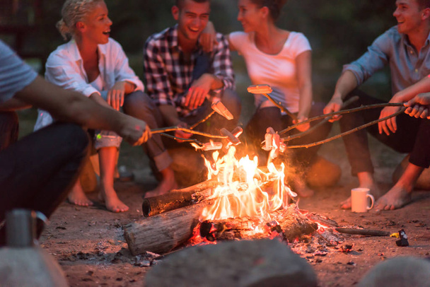 a group of happy young friends relaxing and enjoying  summer evening around campfire on the river bank - Foto, Imagen