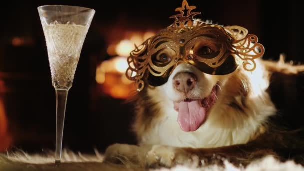 Un perro en una máscara de carnaval se encuentra junto a la chimenea, un vidrio está junto a ella. Tema de vacaciones con mascotas
 - Metraje, vídeo