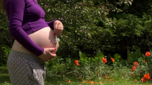Mãos de mulher grávida com flores de margarida acariciar barriga macia no jardim
 - Filmagem, Vídeo