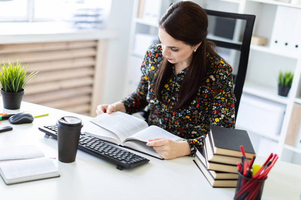 accountant reading business book while sitting at table in bright office  - Photo, Image