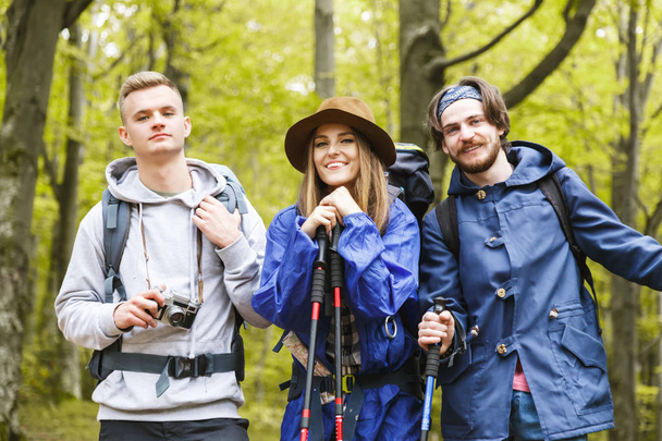 Group Of Friends Are Hiking In Mountain - Valokuva, kuva