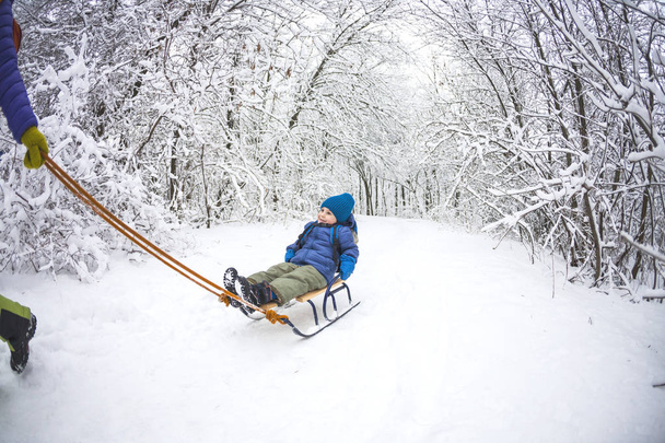 女性は、そりに子供を抱えています。Mom は、雪に覆われた森の上彼女の息子と歩きます。陽気な冬の休暇。冬の楽しみ。そりに赤ちゃん. - 写真・画像