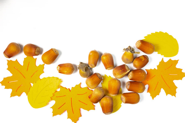 Many dried oak brown acorns and autumn leaves made from paper on white background - Photo, image