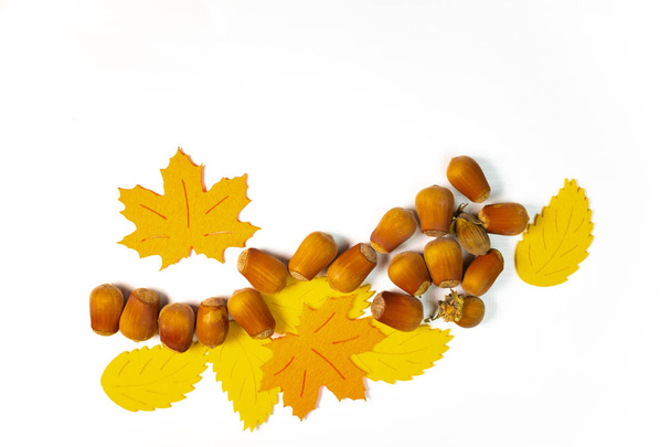 Many dried oak brown acorns and autumn leaves made from paper on white background - Фото, зображення