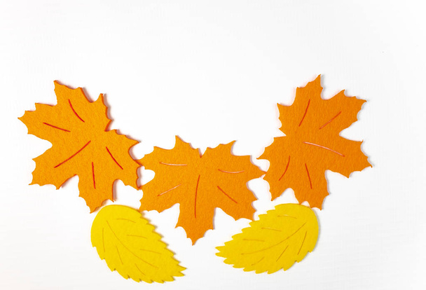 beautiful colorful autumn leaves on white background - 写真・画像