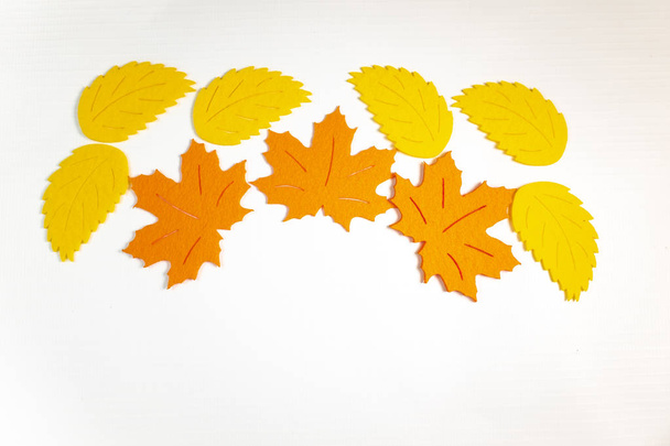 beautiful colorful autumn leaves on white background - Фото, изображение