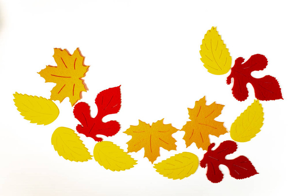 beautiful colorful autumn leaves on white background - 写真・画像