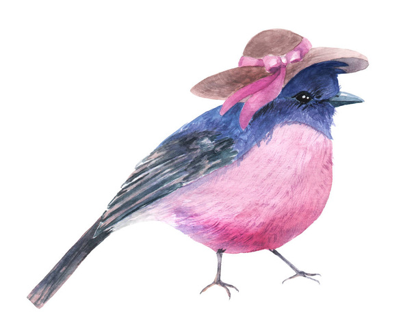 watercolor drawing of a little bird illustration, sketch - Photo, Image