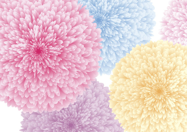Flores coloridas sobre fondo blanco vector ilustración
 - Vector, imagen