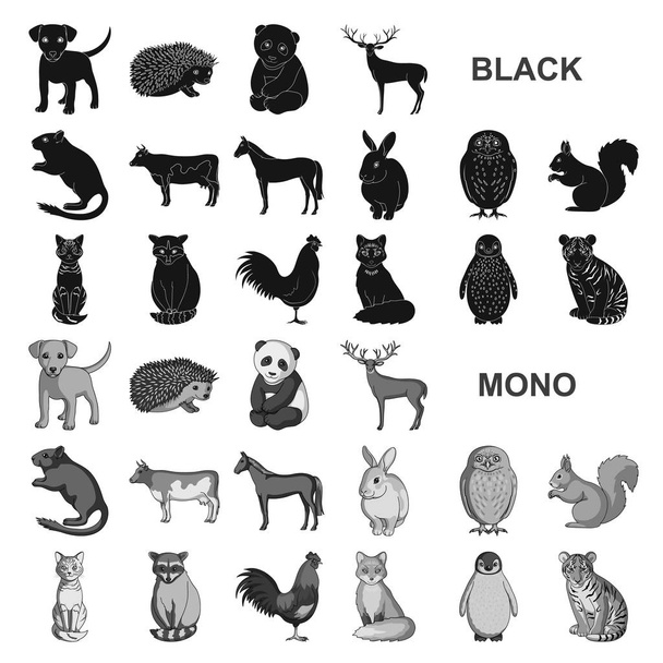 Animais realistas ícones pretos na coleção de conjuntos para design. Animais selvagens e domésticos símbolo vetorial ilustração web
. - Vetor, Imagem