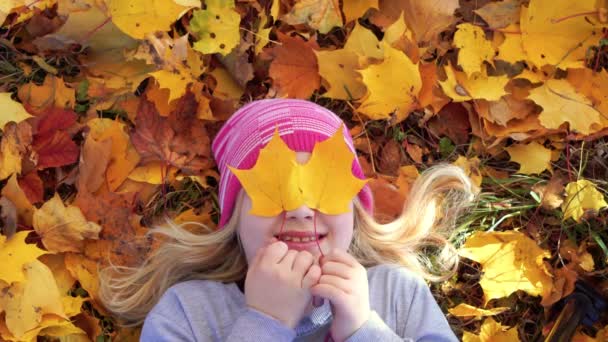 az őszi park portré egy szép lány, a lehullott levelek az őszi parkban egy gyönyörű lány portréja - Felvétel, videó