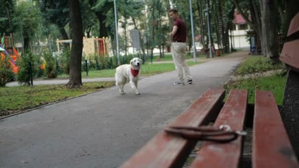 Owner walking with Golden Retriever dog together in park - Metraje, vídeo
