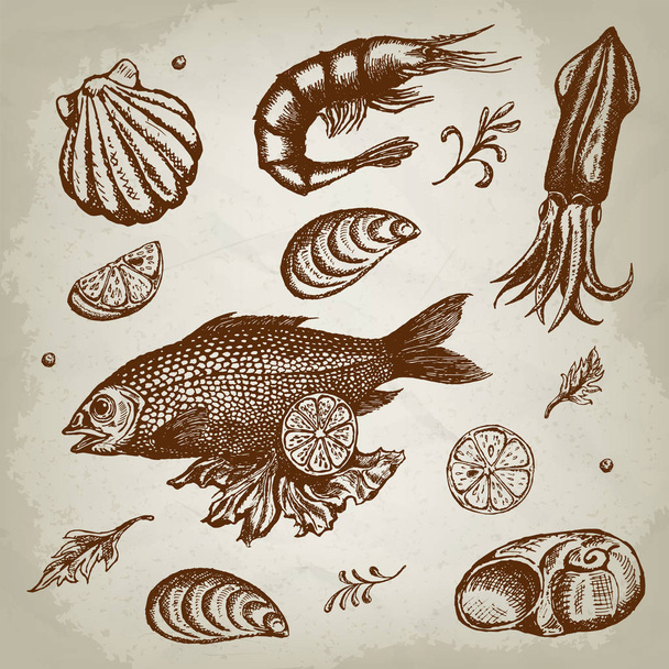 Рука намалювала ескізний набір морепродуктів. Векторні ілюстрації
 - Вектор, зображення