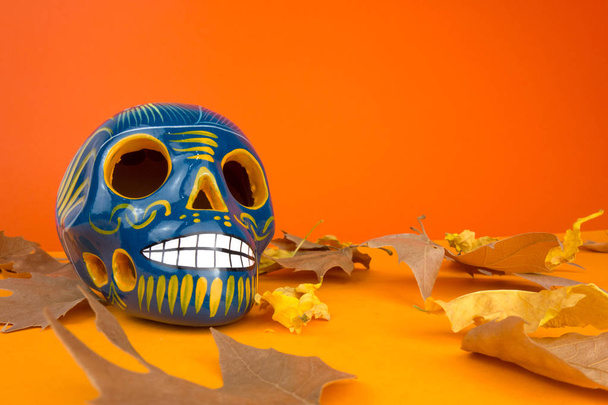 Creative and minimal Day of the Dead or Halloween layout. Skull and dry leaves on orange background. Flat lay front view. Copy space - Foto, immagini