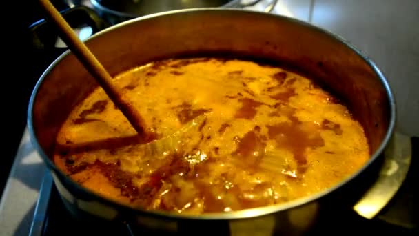 stirring a goulash soup - Footage, Video
