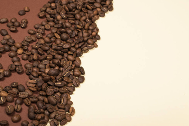 Des grains de café torréfiés éparpillés sur fond beige et brun bicolore. Espace de copie
. - Photo, image