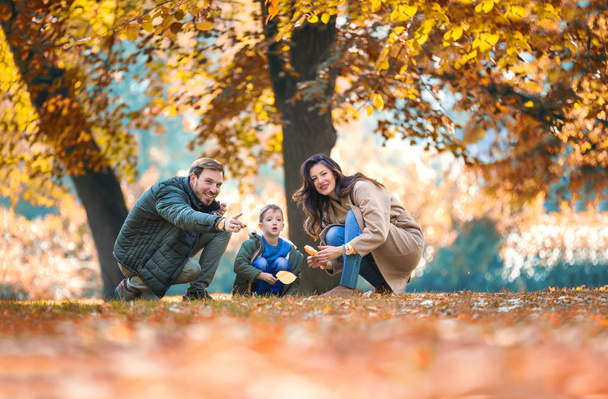 Giovane famiglia si diverte nel parco autunnale con suo figlio
. - Foto, immagini