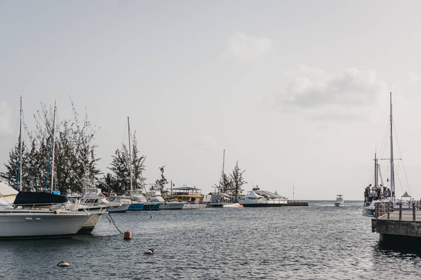Bridgetown, Barbados - 26 de junio de 2018: Barcos y yates atracados en los muelles de Bridgetown. Bridgetown es la capital de Barbados y una ciudad portuaria en la costa suroeste de las islas
 - Foto, imagen