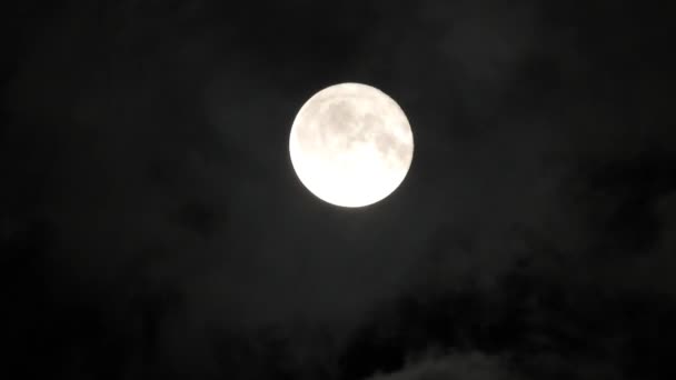 Mond am bewölkten Nachthimmel. Nahaufnahme 4k Video - Filmmaterial, Video