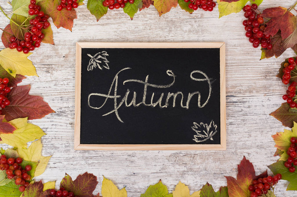 Autumn background. School board with the inscription Autumn. Frame of berries and colored leaves of viburnum, flatly - Photo, Image