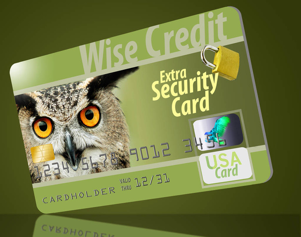 Un sabio búho mira desde una tarjeta de crédito que está cargada con características de seguridad que incluyen hologramas, chip EMV y más. Es sabio estar a salvo
. - Foto, imagen