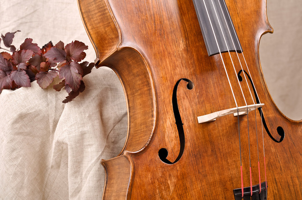 Details of a violoncello on beige background - Photo, Image