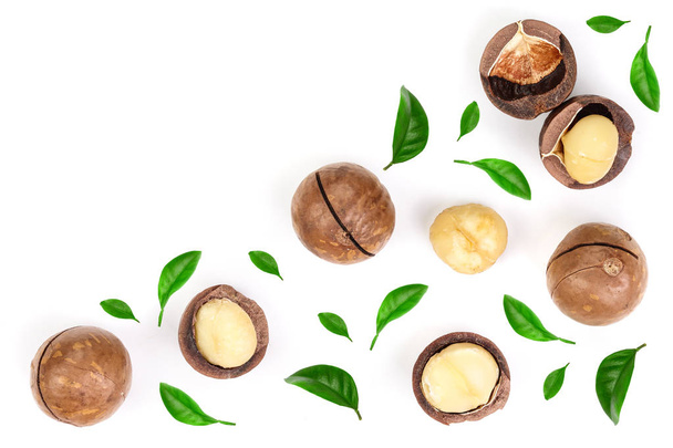 Shelled and unshelled macadamia nuts with leaves isolated on white background with copy space for your text. Top view. Flat lay pattern - 写真・画像