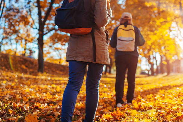Un par de turistas con mochilas caminando en el bosque de otoño al atardecer. Mujeres deportivas viajando juntas
 - Foto, imagen