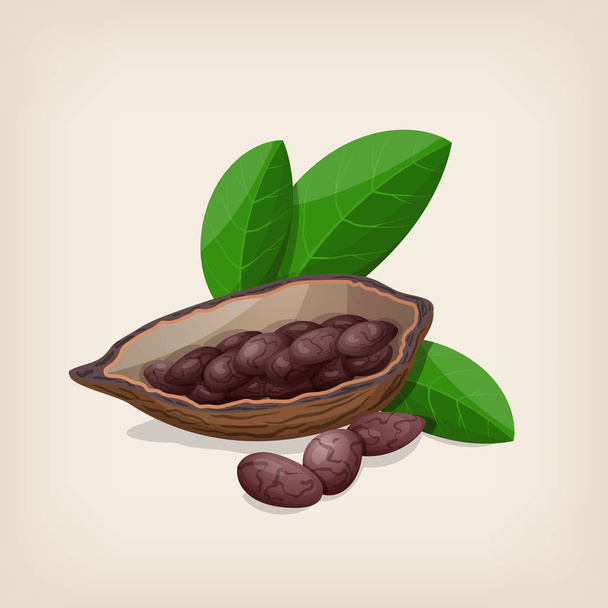Kakaoschoten und Bohnen mit Blättern. Vektorillustration. - Vektor, Bild