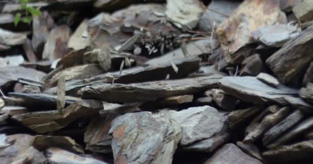 Крупный план серых камней, падающих с горных пород в замедленной съемке
 - Кадры, видео