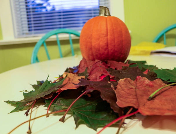 Kurpitsa syksyllä lehdet keittiön pöydällä havainnollistaa niitä syyskauden ja sää muuttuu
 - Valokuva, kuva